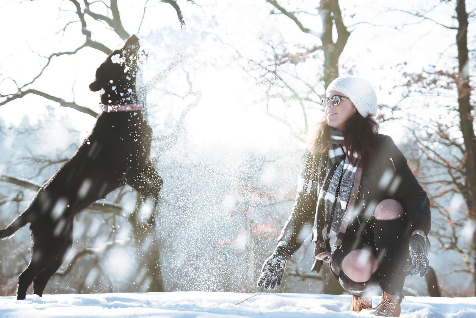 A woman wearing winter clothes kneels in the snow while a black dog jumps playfully beside her on a sunny winter day in the woods.